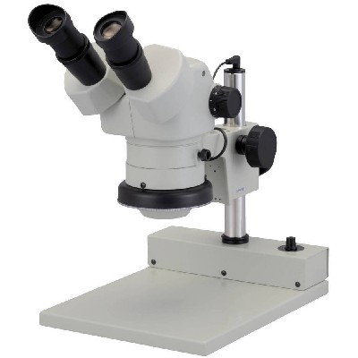 services-microscope
