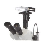 Carton accessories illuminators